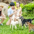 사파리체험테마파크 이미지