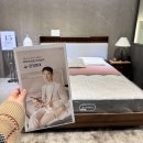추산동055 | 창원 금성침대 직접 체험단 쇼룸 침대와 소파 탐방체험기