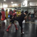 태성체육관 이미지