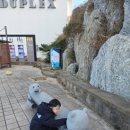 아야진약국 이미지