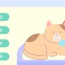 도담도담동물병원 이미지