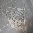 (유)시티건설 | 인천줄눈 루원시티줄눈 루원시티 대성베르힐더센트로 줄눈시공(204동 재시공후기)