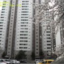 조치원읍 욱일아파트 이미지