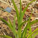 도림천 산책로5 이미지