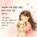 9월5~6일 토요일 일요일 출석부 이미지