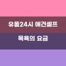 셀프 강아지 목욕탕 이미지