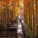 경상도 가볼만한곳 베스트10 이미지