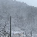 소백산비비 이미지