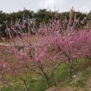 일학농장 이미지