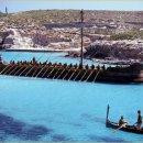 트로이온 이미지