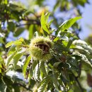 청평힐리조트 이미지