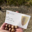 꽃떡앤오븐