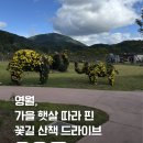 꽃망우리협동조합 | 영월 가을 여행 코스, 강원도 가을 꽃명소 후기 먹골마을, 영당원, 청령포원, 선돌