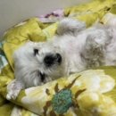 개어비앤비 이미지