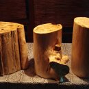 오동나무농장 이미지