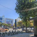 녹두로R | 20251115 김동률 산책 콘서트 후기