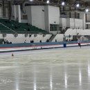 2026년도 서울시 빙상경기연맹 제1차 피겨승급심사 후기