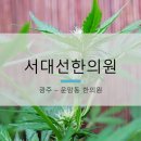 서대선한의원 이미지