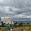 경주농장 티스토리
