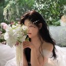 원디렉팅웨딩 | 가성비 플라워디렉팅 라이크유플라워 웨딩촬영 비동행 30만원대 내돈내산 계약 +촬영 후기
