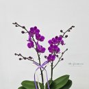 호원행정사사무소 이미지