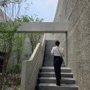 (주)네비웍스 | 🌟 나의 31살 기록 🌟