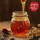 소백산에서 이미지