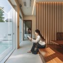 시기공추 이미지