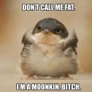 부엉이PC 이미지