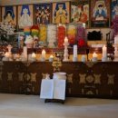 나비사주카페 이미지