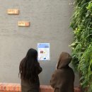 고양외국어고등학교 이미지