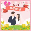 부부세탁 Daum카페