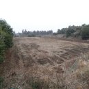 표선면-12 이미지