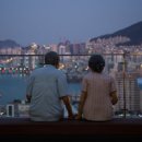 153 행정사사무소 이미지