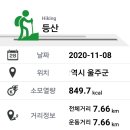 작천정달빛야영장 이미지