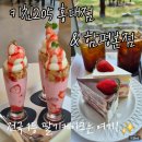 딸기케이크 최강자 키친205 홍대점과 함평본점 모두 가 본 후기