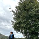 다혜-목장 이미지