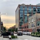 신흥 인 허브 이미지