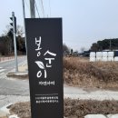 봉순이 자연아띠