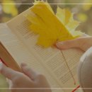 파랑새정신건강의학과의원 이미지