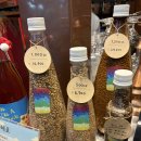 서귀동 300-1 | 수제 맥주 맛집 제주 약수터 올레시장점 내돈내산 후기(+중앙 통닭 본점 마농 치킨, 마농 훈제 오리)