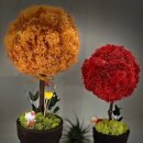 생생과학탐험 이미지