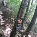 서산대사 옛길 이미지