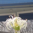 장군마을2길 이미지