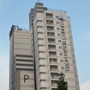 (주)커넥트호텔부산 | [부산 중앙동] 부산 중구 숙소 추천, 남포동 근처 반려동물동반 가능한 부산커넥트호텔 내돈내산 후기