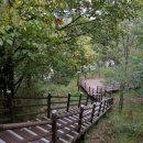 천곡황금박쥐동굴 이미지