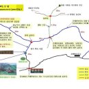 정기코스 Daum카페