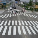 새터초등학교 이미지