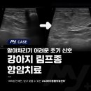 소로동물병원