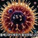 112. 암세포 잡는 'NK세포'를 깨워라! 해독이 만드는 놀라운 세포 전쟁 이미지